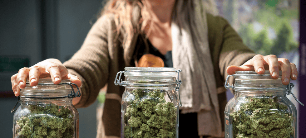 Explore the Best Detroit Dispensary Deals for Recreational Cannabis